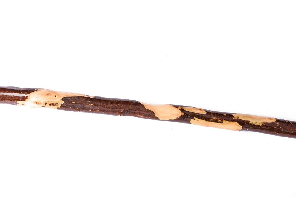Bark-Keeping Clumpy Pattern Wooden Walking Stick with a Compass (Nature Color...