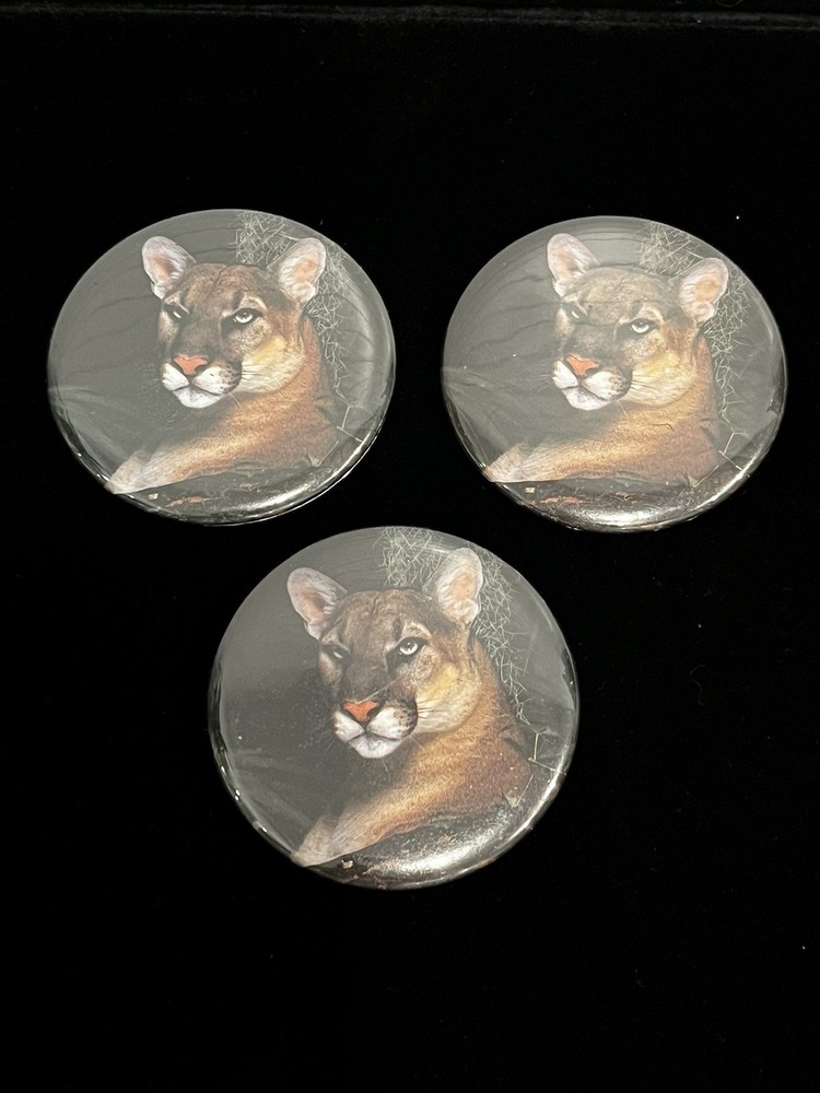 Vintage Florida Panther Button Pin