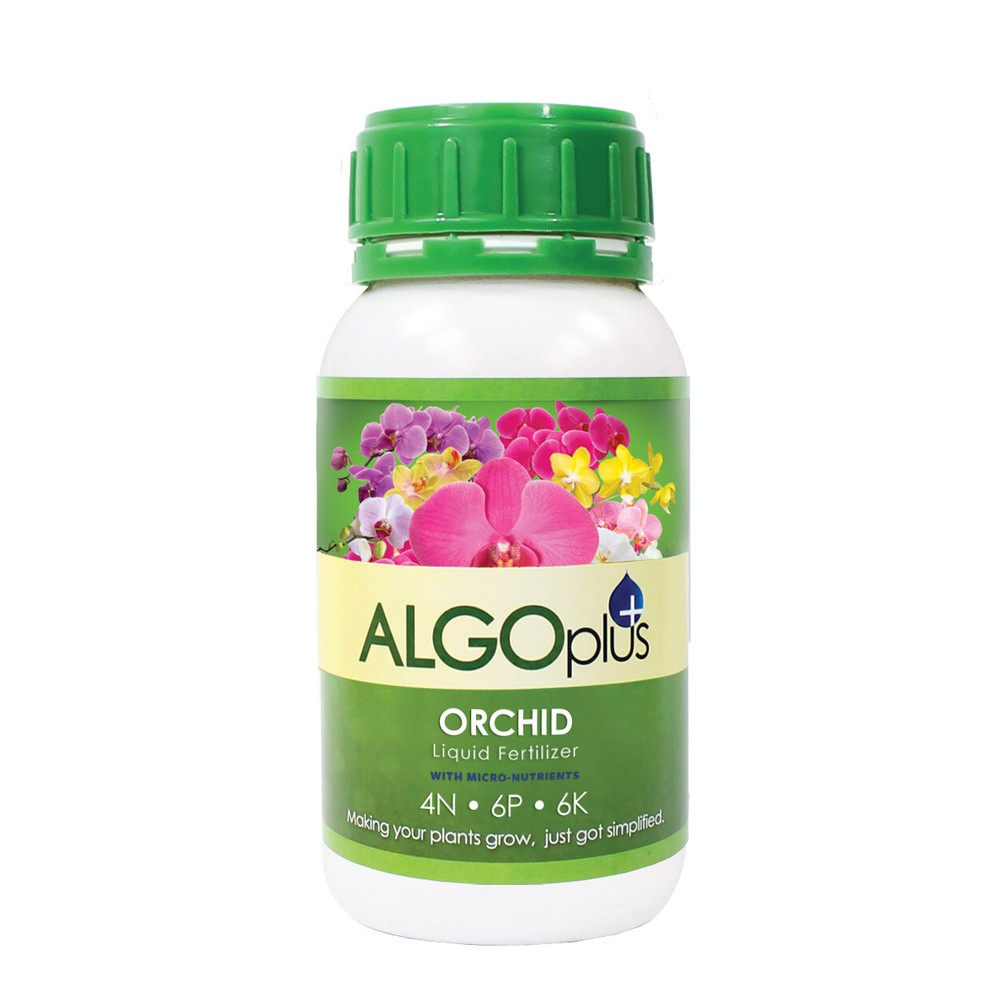 Algoflash AlgoPlus Orchids 4-6-6