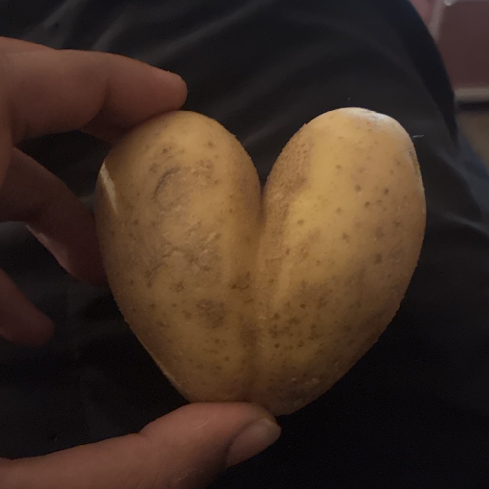 Heart-Shaped Potato Unusually Shaped Vegetable
