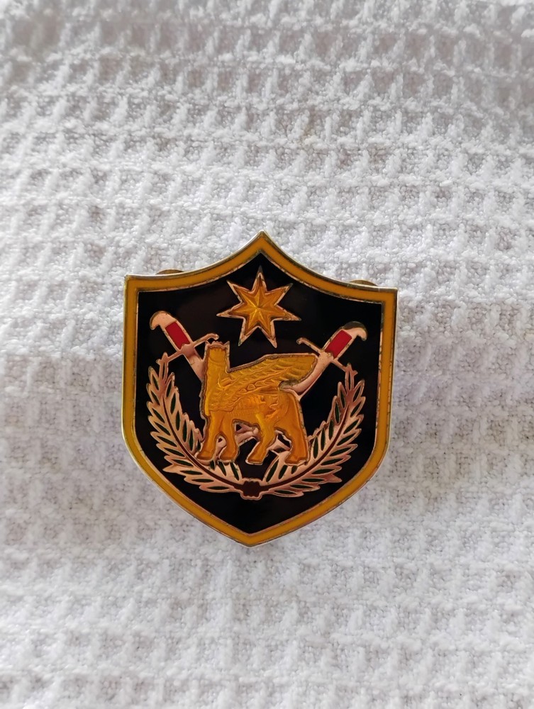 COMBAT SERVICE PIN IRAQ MULTINATIONAL FORCES