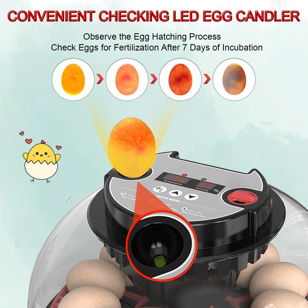 Incubators for Hatching Eggs,12 Egg Incubator with Automatic Egg Turning and Hum