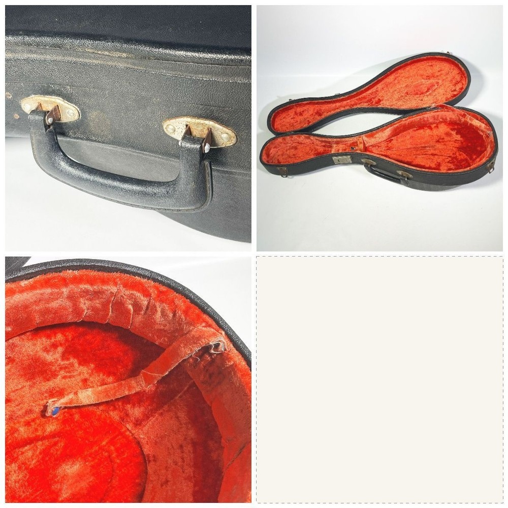 [Junk item] Raffaele Calace 1969 Mandolin