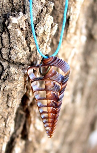 District Champion Replica Sea Ocean Shell Necklace