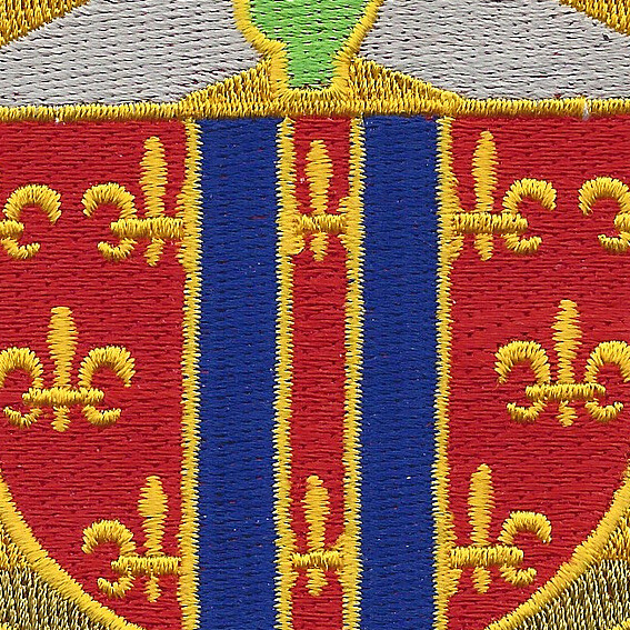 123rd Cavalry Regiment Patch
