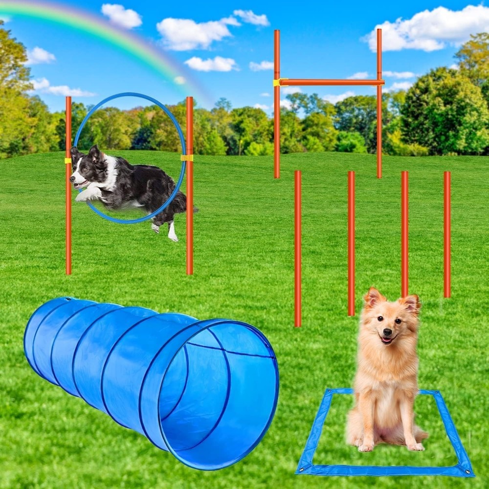 Interactive Dog Agility Training Course - Versatile Outdoor Fun for Every Breed