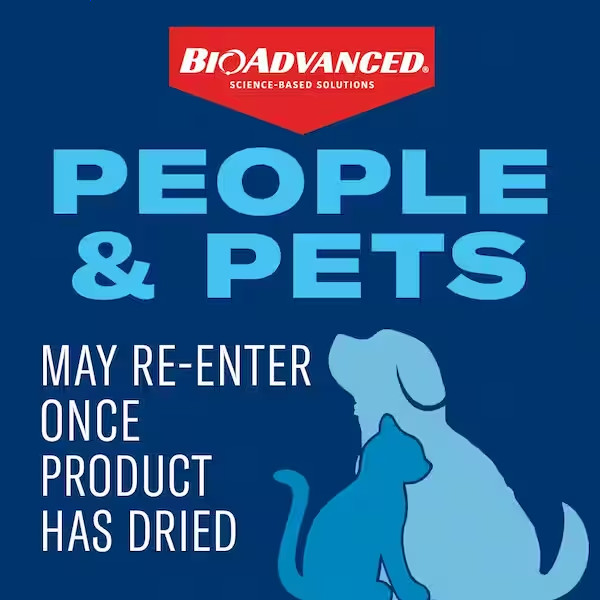 BIOADVANCED Carpenter Ant & Termite Killer Plus Concentrate 40oz. Makes 480 Gal.