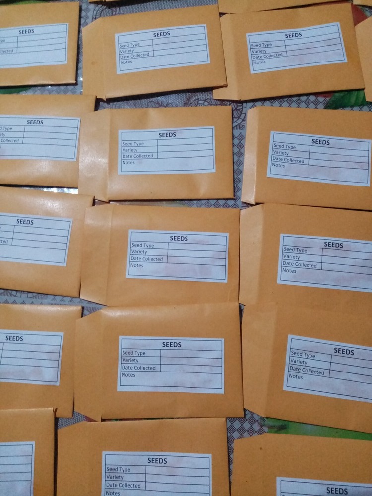 50Pcs Seed Saving Envelopes, Bulk 2.5x3 Empty 80gsm Packets Seeds container pack