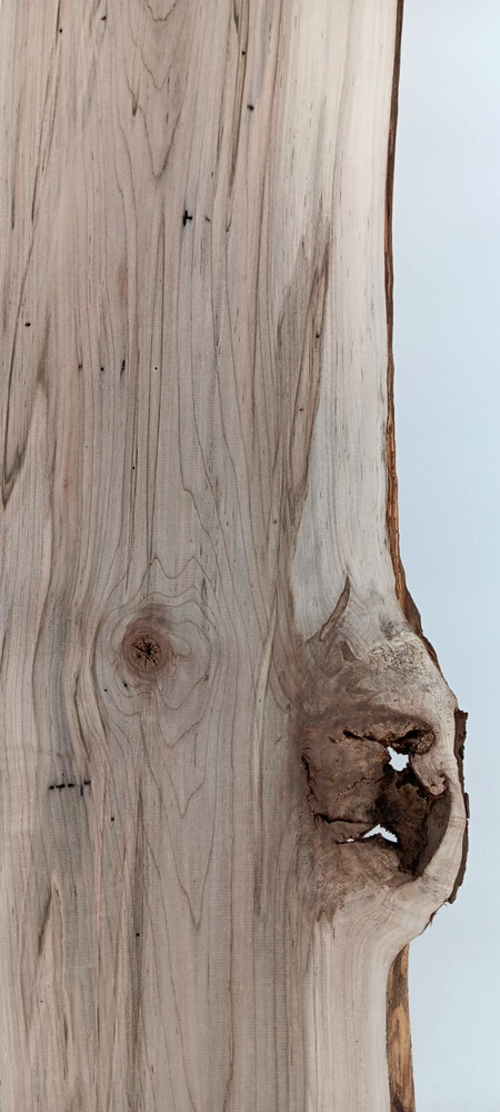 Spalted Maple Live-edge Slab