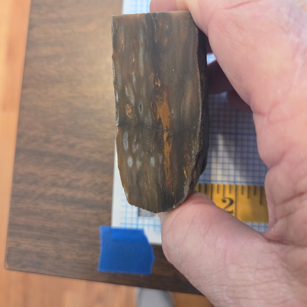Palm Rough