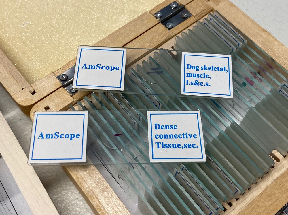 Amscope 49 PreparedMicroscope Slides In 2 Boxes