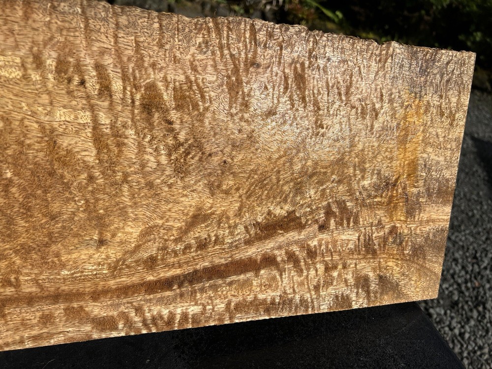 Hawaiian Curly Mango Board #14063