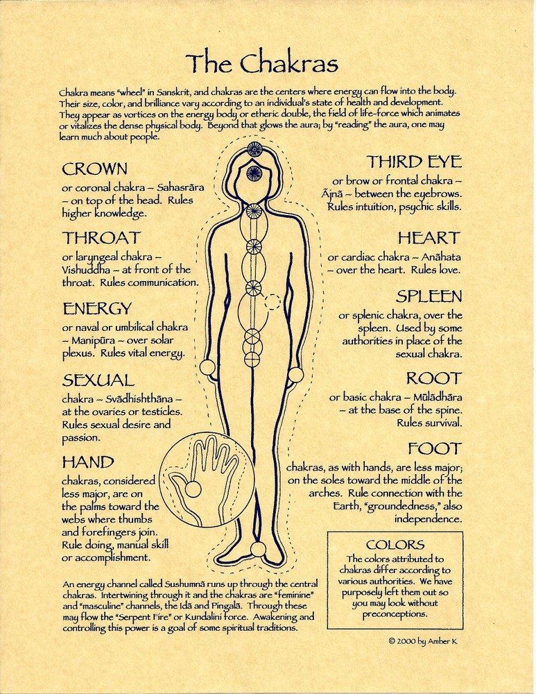 THE CHAKRAS Poster Page Reference Guide Page 8 1/2" x 11"