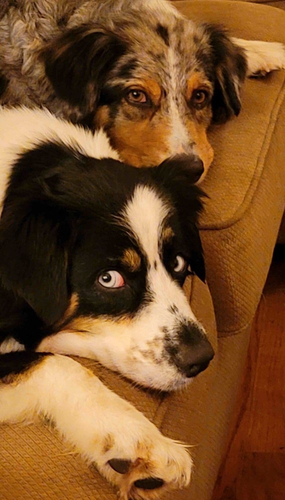 Open Box - 312-03977 Microsoft Windows Exchange Server 2010 Standard 5 CAL