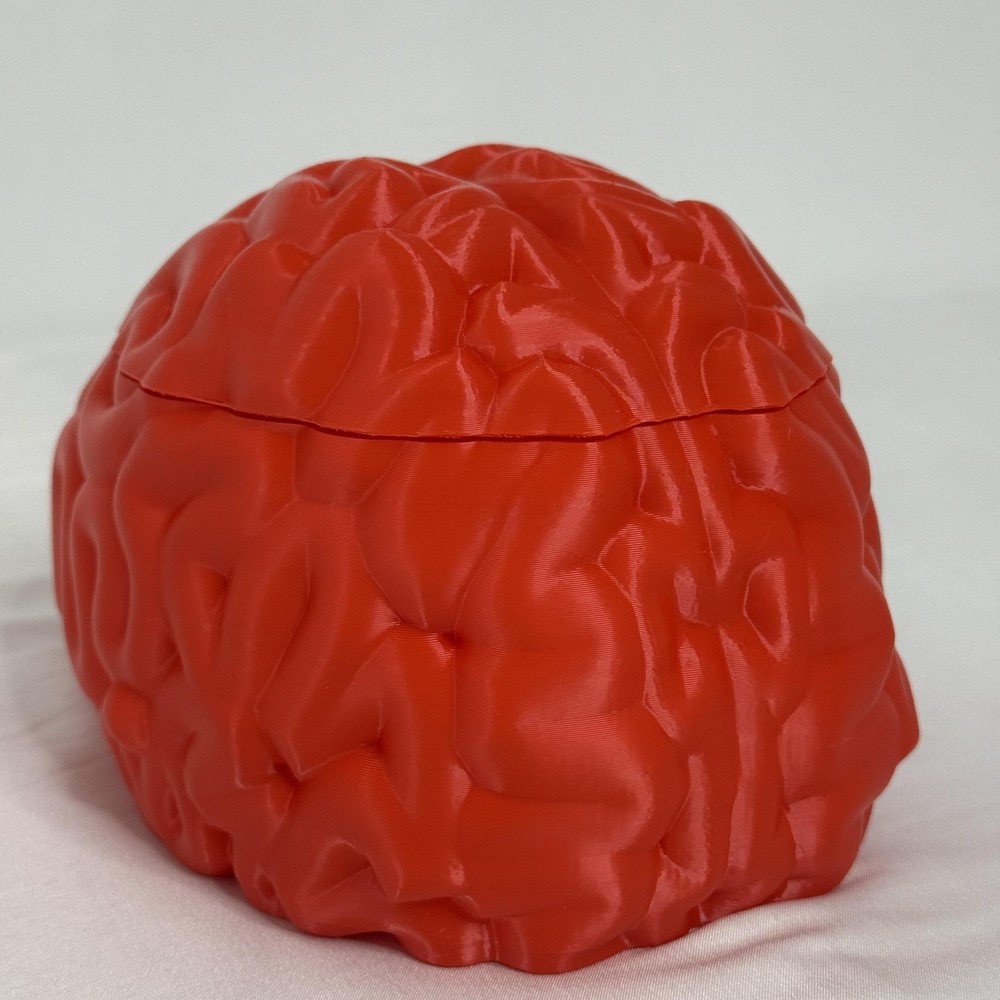 Brain Shaped Storage Box Red Plastic Container Jar Halloween Decor Gift