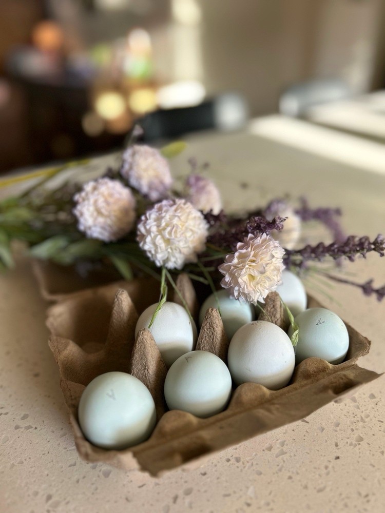 Preorder Of Mixed Dozen Ameraucana Hatching Eggs