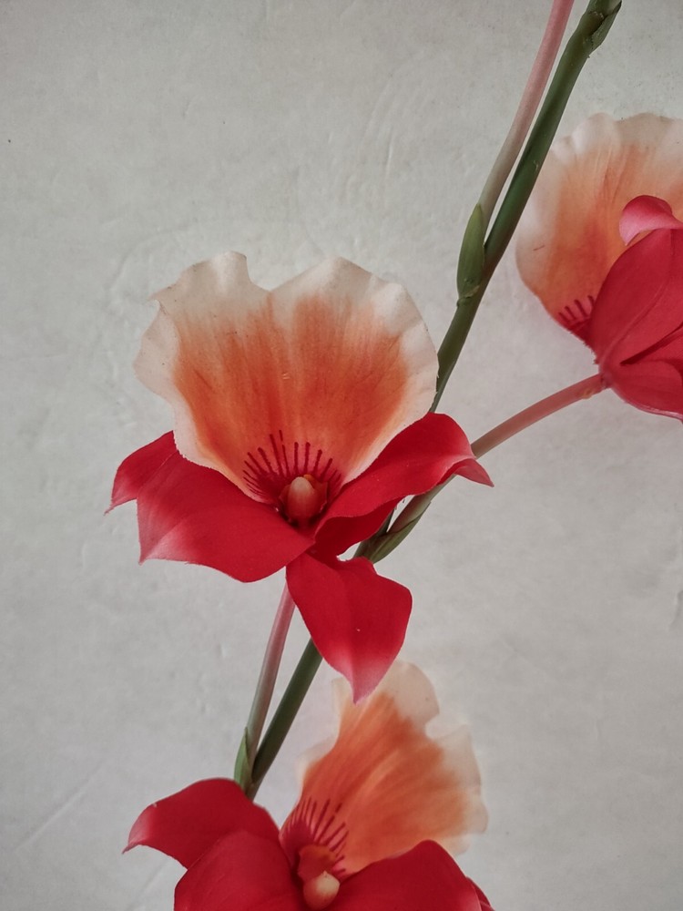 Artificial miltoniopsis orchid stem CORAL/PEACH