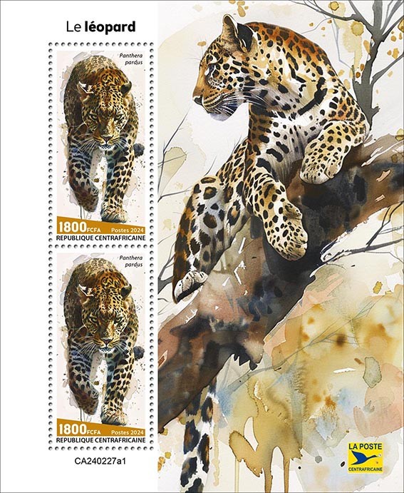 Leopard
