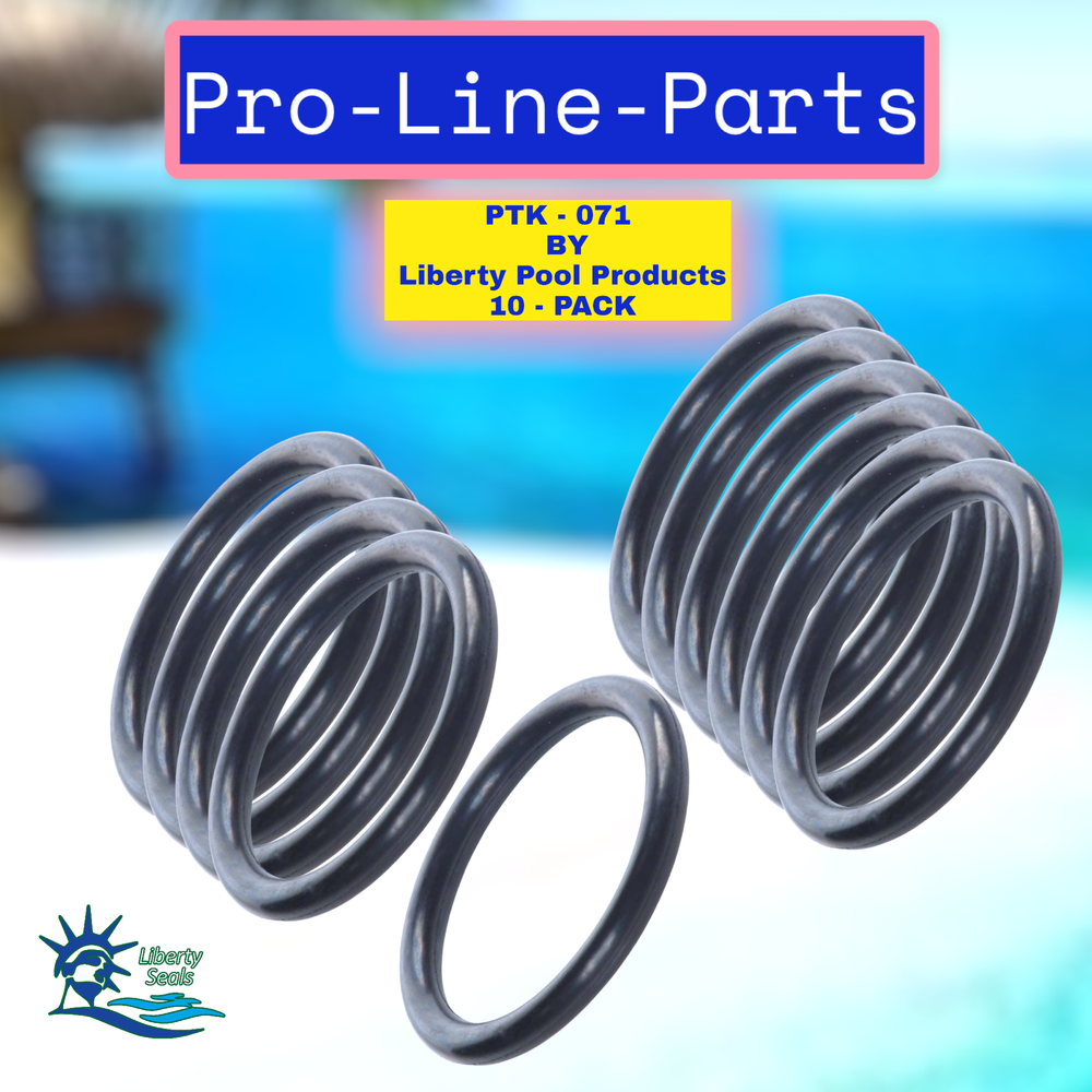 51005000 Drain Plug O-Ring Replacement Pool/Spa Filter and Valve For Pentair