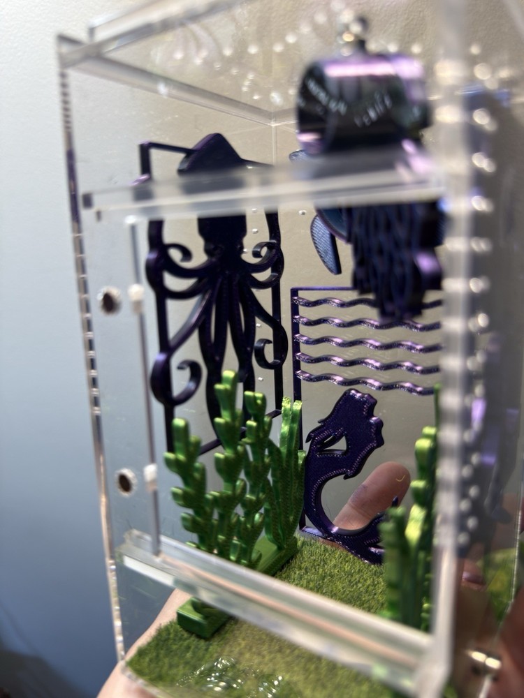 Jumping Spider Enclosure with Aquatic Theme Decorations