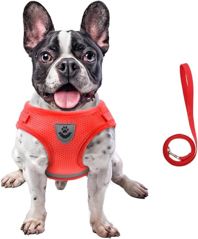 Dog Harness & Leash Set Walking Soft Mesh Adjustable Easy Control Lightweight