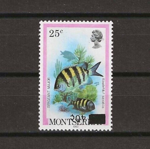 MONTSERRAT 1983 SG 577a MNH
