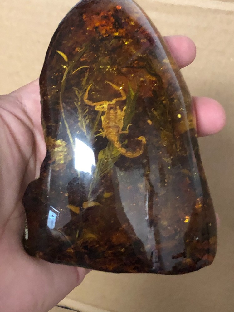 AMBER FOSSIL REPLICA SCORPION INSIDE 5" TALL
