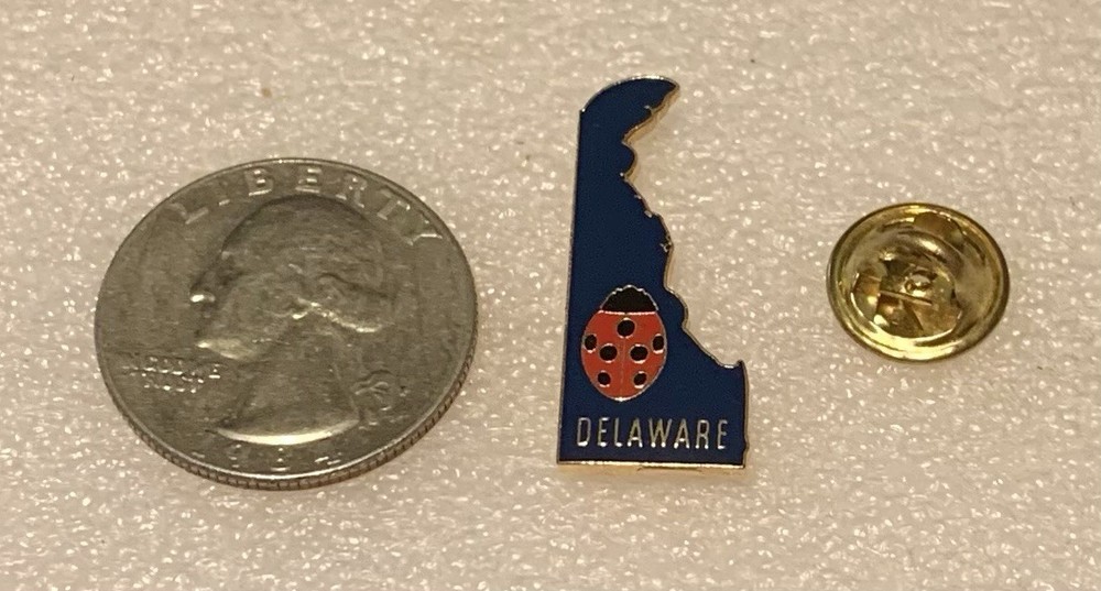 Delaware Souvenir Lapel/Hat Pinback