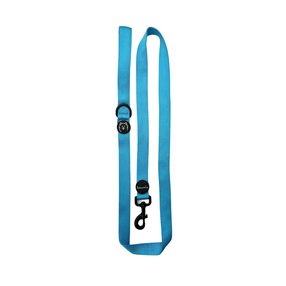 Dream Walk Dog Leash- Premium Nylon Pet Leash with Soft Neoprene Handle for S...