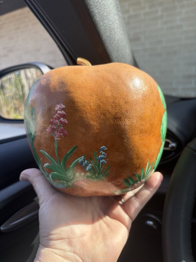 Large Cactus Apple Gourd - Hand Painted