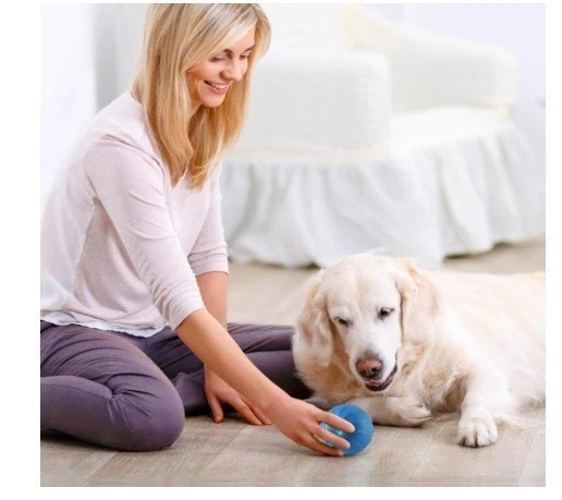 Smart Interactive Dog Toy Ball – USB Electronic Automatic Moving & Bouncing Pet.
