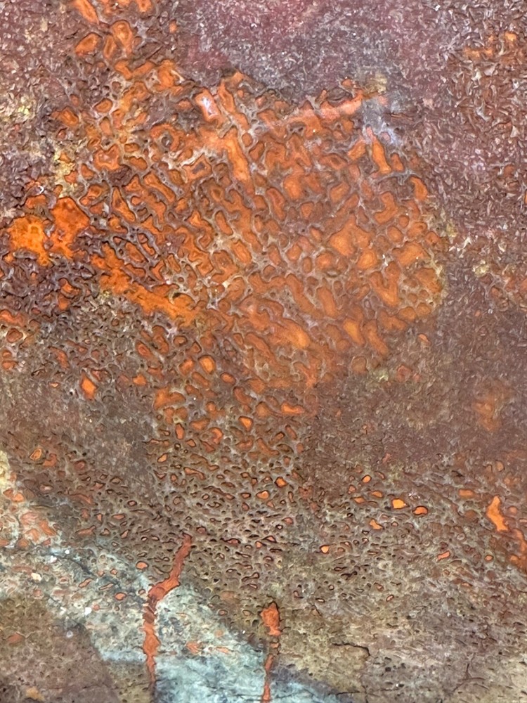 Dinosaur bone rough **hxtled large slab.