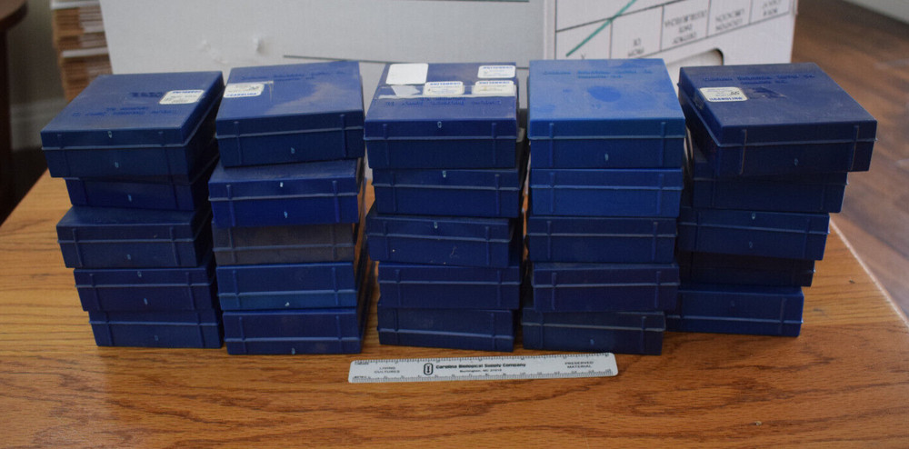 18 blue plastic microscope slide boxes from Carolina Biological Supply