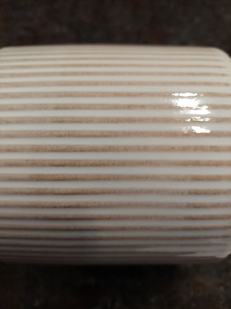 ASHLAND SPRING PRINT TEMPS LIGHT BROWN STRIPE CERAMIC PLANTER / FLOWER POT