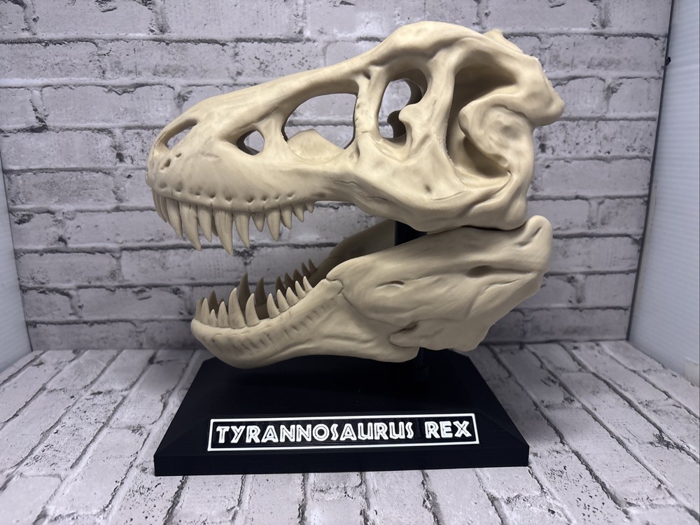 T-Rex 3D printed dinosaur skull large bone colored realistic With Stand Bone PLA