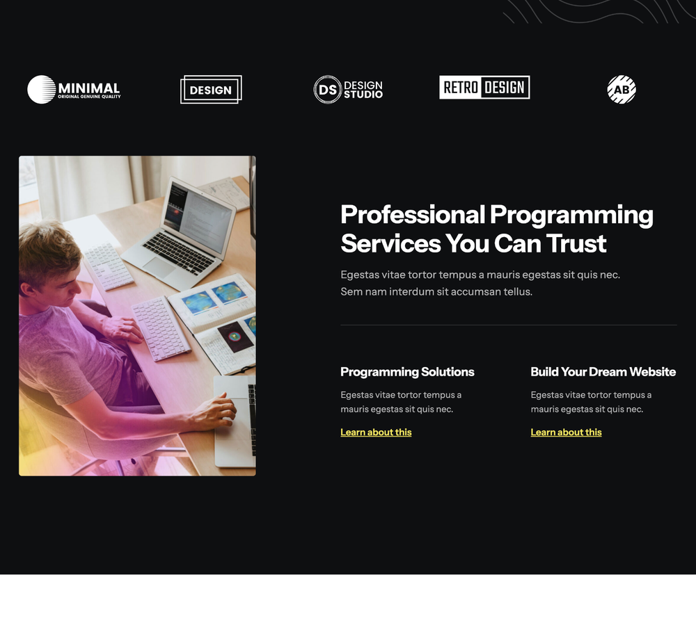 Programmer Website Design with Free VPS Web Hosting and Installation