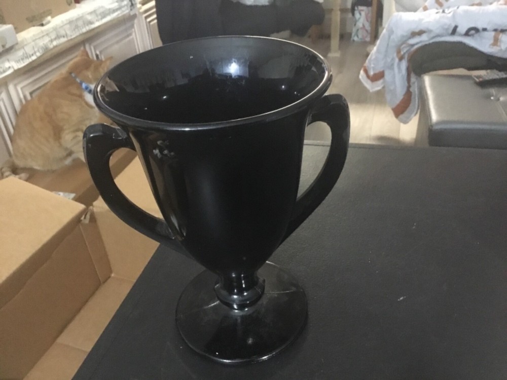 Trophy Style Black Glass Planter