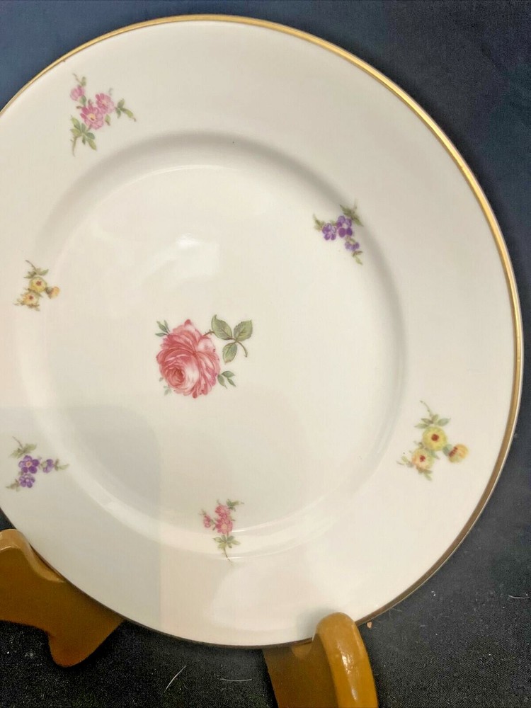Rosenthal China Hillside Pattern 5-Piece Place Setting... Beautiful Floral...