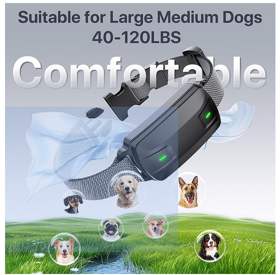 Dog Training Collar With Remote