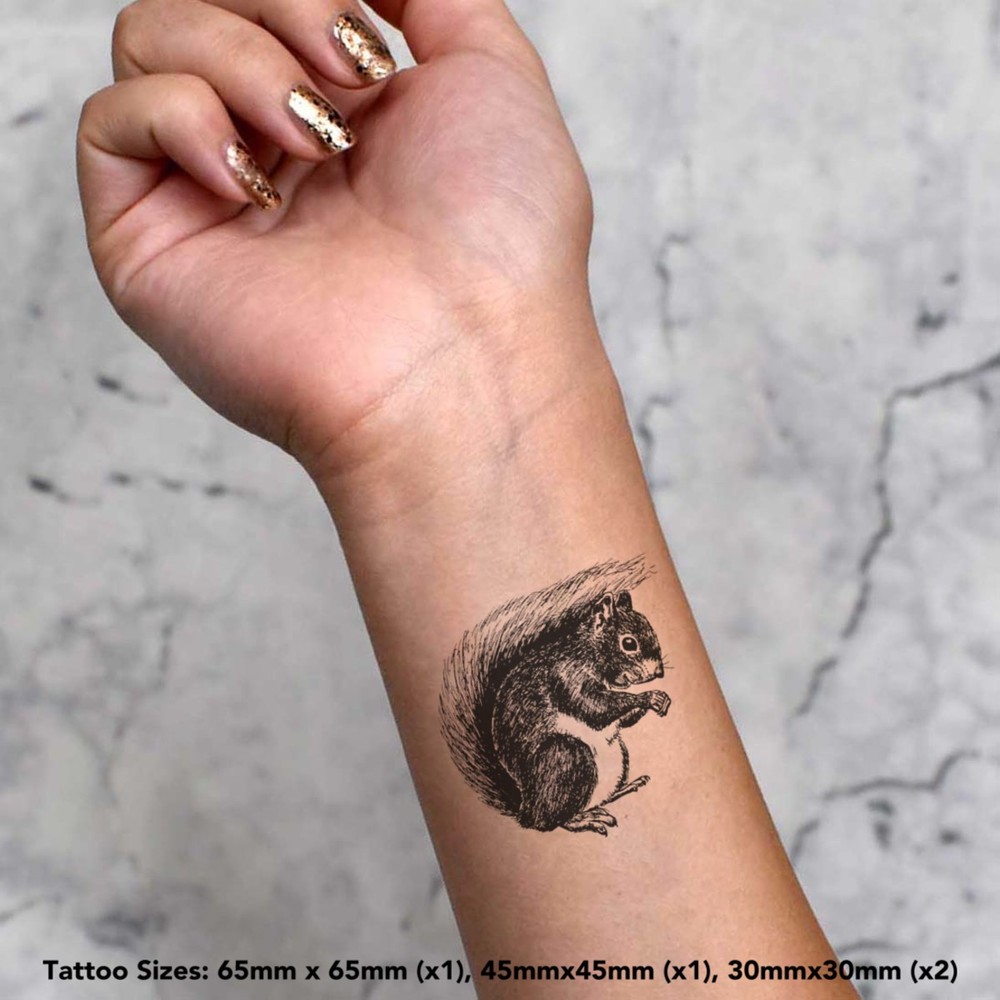 4 x 'Squirrel' Temporary Tattoos / Transfers (TO00048431)