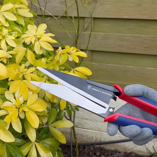 4855TS Razorsharp Advantage Topiary Shears Classic
