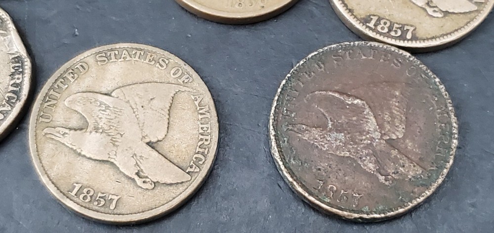 9 Mixed Flying Eagle & Indian Cent Collection