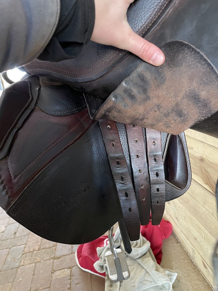 CWD SEO2 Regular Tree 2014 1C flap (Short Forward)