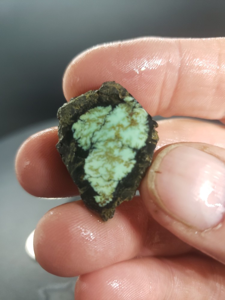 Saguaro Variscite Slab