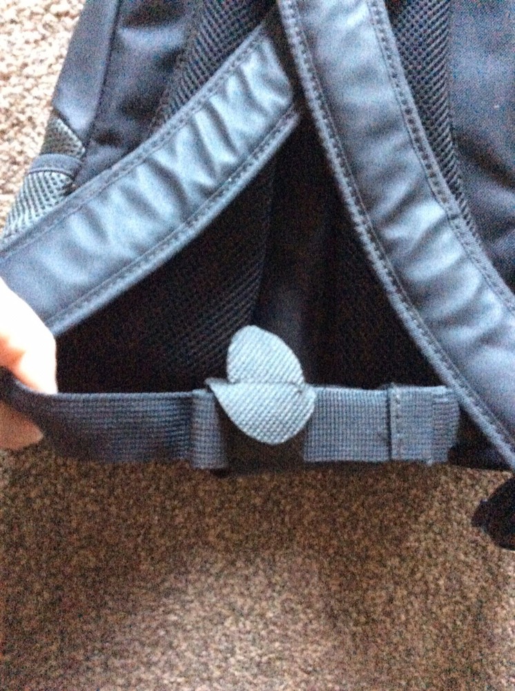 Bnwt Crazy Paws Small Pet Backpack - Seabreeze