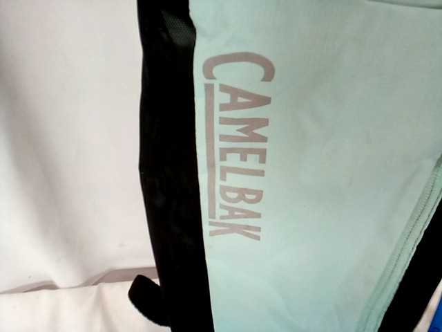Camelback Rogue Teal Hydration pack - Used