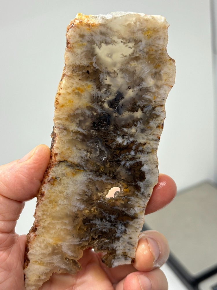 Plume Agate slab Cabbing Lapidary Combo Ship Avail Oregon