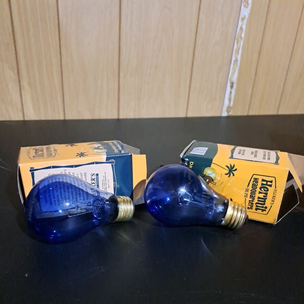 Fluker's Daylight Bulb for Hermit Crabs 60Watt