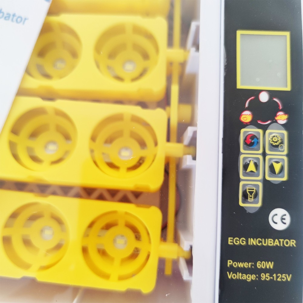 110V 24 Eggs Automatic Egg Incubator with Automatic Egg Turning