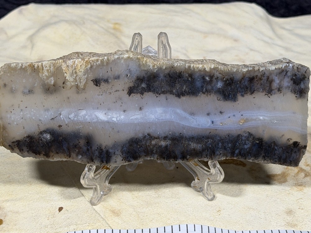 Snake River Dendritic Agate Slab, Lot #277